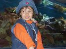 Filename : Eva_reef_D_L.jpg
Filesize : 148KB
Dimensions : 800x600
Date added : May 16, 2005 Eva_reef_D_L.jpg