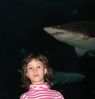 Filename : rechin.jpg
Filesize : 71KB
Dimensions : 730x762
Date added : May 26, 2008 rechin.jpg