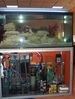 Filename : reef_aparatura.jpg
Filesize : 223KB
Dimensions : 800x1061
Date added : May 24, 2005 reef_aparatura.jpg