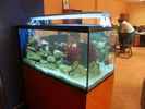 Filename : reef_start.jpg
Filesize : 121KB
Dimensions : 800x600
Date added : May 24, 2005 reef_start.jpg
