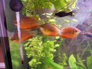 Filename : colisii.JPG
Filesize : 53KB
Dimensions : 800x600
Date added : Nov 03, 2007 colisii.JPG