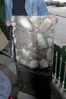 2005.05.16_0013.jpg