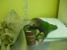 Filename : MVC-209F.JPG
Filesize : 127KB
Dimensions : 1024x768
Date added : Jul 07, 2006 MVC-209F.JPG