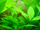 Dsc00856.jpg