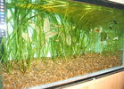 Filename : 01010010.JPG
Filesize : 315KB
Dimensions : 1024x736
Date added : Jul 11, 2006 01010010.JPG