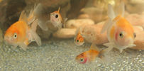 IMG_0048_c.jpg