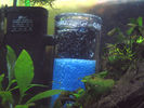 Filename : Last_ver_4.jpg
Filesize : 115KB
Dimensions : 640x480
Date added : Oct 25, 2005 Last_ver_4.jpg