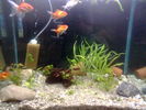 Filename : Imag013.jpg
Filesize : 59KB
Dimensions : 640x480
Date added : May 09, 2006 Imag013.jpg