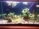 Filename : Imag014.jpg
Filesize : 68KB
Dimensions : 640x480
Date added : May 09, 2006 Imag014.jpg