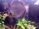 Filename : Imag017.jpg
Filesize : 55KB
Dimensions : 640x480
Date added : May 09, 2006 Imag017.jpg