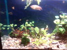 Filename : Imag021.jpg
Filesize : 63KB
Dimensions : 640x480
Date added : May 09, 2006 Imag021.jpg