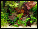 Filename : acv_05.JPG
Filesize : 207KB
Dimensions : 800x600
Date added : Jan 14, 2006 acv_05.JPG
