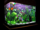 Filename : medium_tank.jpg
Filesize : 541KB
Dimensions : 1200x897
Date added : Oct 23, 2005 medium_tank.jpg