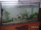 Filename : PICT2544.jpg
Filesize : 167KB
Dimensions : 1024x768
Date added : Oct 13, 2005 PICT2544.jpg