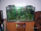 Filename : PICT2549.jpg
Filesize : 190KB
Dimensions : 1024x768
Date added : Oct 13, 2005 PICT2549.jpg
