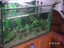 Filename : PICT2552.jpg
Filesize : 208KB
Dimensions : 1024x768
Date added : Oct 13, 2005 PICT2552.jpg