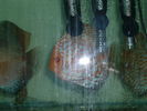DSCF0038.JPG