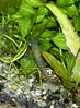 Filename : 2005.05.15_0012.jpg
Filesize : 169KB
Dimensions : 552x752
Date added : May 17, 2005 2005.05.15_0012.jpg