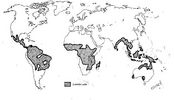 Filename : Areal lateritic.jpg
Filesize : 40KB
Dimensions : 610x350
Date added : Feb 22, 2006 Areal lateritic.jpg