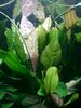 Filename : Resize of PHTO0003.JPG
Filesize : 45KB
Dimensions : 450x600
Date added : May 27, 2006 Resize of PHTO0003.JPG