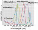 Filename : pigment.gif
Filesize : 21KB
Dimensions : 418x329
Date added : Feb 21, 2006 pigment.gif