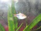 Filename : 14.JPG
Filesize : 34KB
Dimensions : 320x240
Date added : May 25, 2006 14.JPG