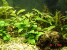 Filename : 6.JPG
Filesize : 319KB
Dimensions : 1280x960
Date added : May 27, 2006 6.JPG