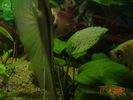 DSC03530.JPG