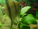 DSC03554.JPG