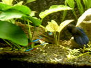 Filename : S3500006_.JPG
Filesize : 137KB
Dimensions : 1024x768
Date added : May 28, 2006 S3500006_.JPG