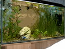 Filename : S3500007.JPG
Filesize : 138KB
Dimensions : 1024x768
Date added : Feb 01, 2006 S3500007.JPG