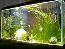 Filename : S3500009.JPG
Filesize : 136KB
Dimensions : 1024x768
Date added : Feb 01, 2006 S3500009.JPG