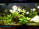 Filename : S3500009_.JPG
Filesize : 139KB
Dimensions : 1024x768
Date added : May 28, 2006 S3500009_.JPG