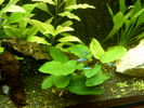 Filename : S3500012_.JPG
Filesize : 138KB
Dimensions : 1024x768
Date added : May 28, 2006 S3500012_.JPG