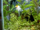 Filename : S3500016.JPG
Filesize : 138KB
Dimensions : 1024x768
Date added : Feb 01, 2006 S3500016.JPG