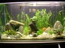 Filename : 07.jpg
Filesize : 420KB
Dimensions : 1024x768
Date added : Oct 11, 2005 07.jpg