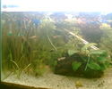 Imag001.jpg