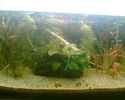 Imag003.jpg