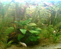 Imag004.jpg