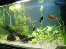 Filename : 1.jpg
Filesize : 266KB
Dimensions : 909x682
Date added : Dec 12, 2005 1.jpg