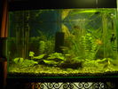 Filename : DSC07286.jpg
Filesize : 124KB
Dimensions : 682x511
Date added : Sep 18, 2005 DSC07286.jpg