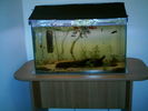 cricri 030.jpg