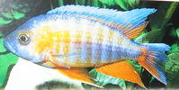 Filename : bill.jpg
Filesize : 48KB
Dimensions : 400x201
Date added : Apr 18, 2006 bill.jpg