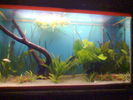 Filename : Costel066.jpg
Filesize : 49KB
Dimensions : 640x480
Date added : Feb 19, 2006 Costel066.jpg