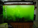 Filename : gw_curt.jpg
Filesize : 90KB
Dimensions : 400x300
Date added : Mar 22, 2008 gw_curt.jpg