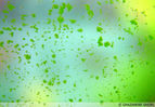 Filename : spot.jpg
Filesize : 73KB
Dimensions : 400x278
Date added : Mar 22, 2008 spot.jpg