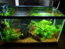Filename : 10gshrimpW.jpg
Filesize : 237KB
Dimensions : 640x480
Date added : Mar 21, 2008 10gshrimpW.jpg