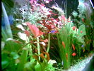 Filename : Image001.jpg
Filesize : 51KB
Dimensions : 640x480
Date added : May 28, 2006 Image001.jpg