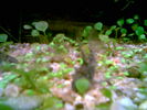 Filename : Image002~0.jpg
Filesize : 29KB
Dimensions : 640x480
Date added : May 28, 2006 Image002~0.jpg