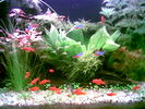 Filename : Image002.jpg
Filesize : 50KB
Dimensions : 640x480
Date added : May 28, 2006 Image002.jpg